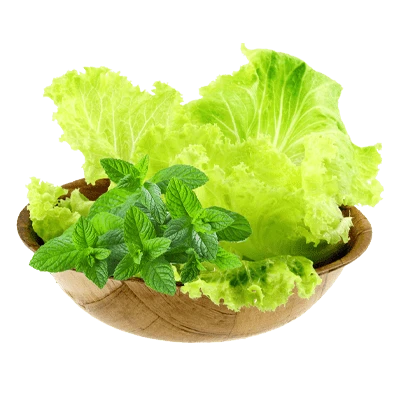 Salade-menthe pour nem